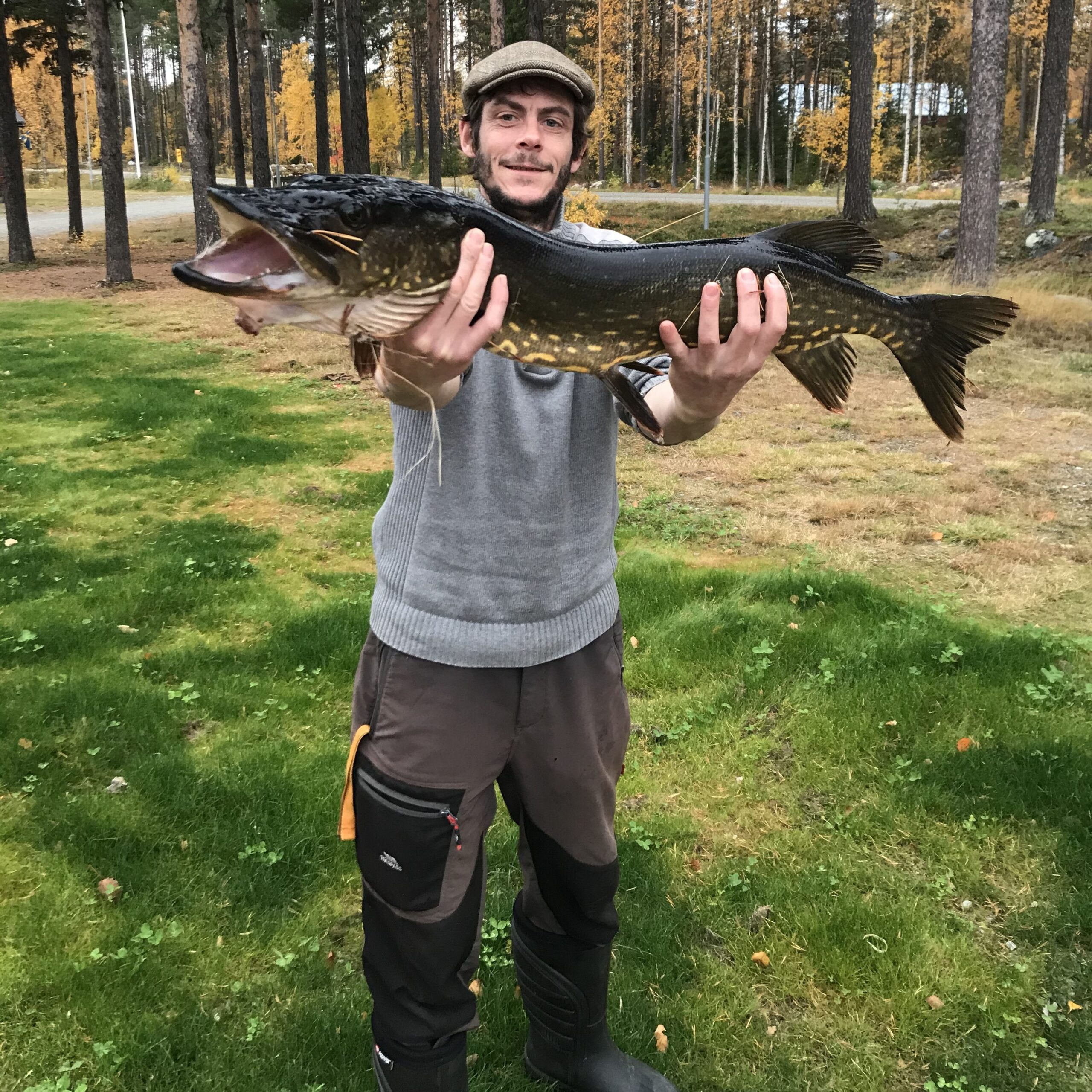 Pike