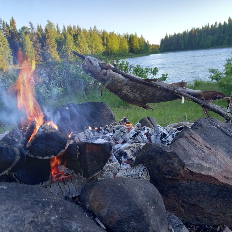 Grilled fish