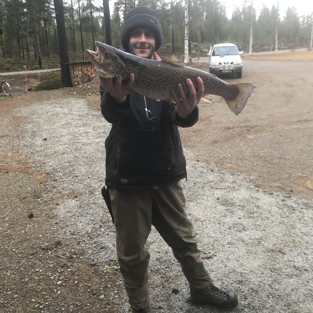 Trout